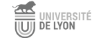 Vote électronique - Université de Lyon